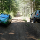 Another Gambler on the trails.